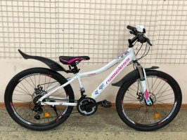 bike8-19